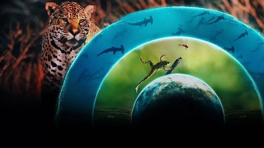 Download Our Living World | 2024 | Season 1 | {Hindi-English-} | Web Series | 480p 720p 1080p | MoviesFlix