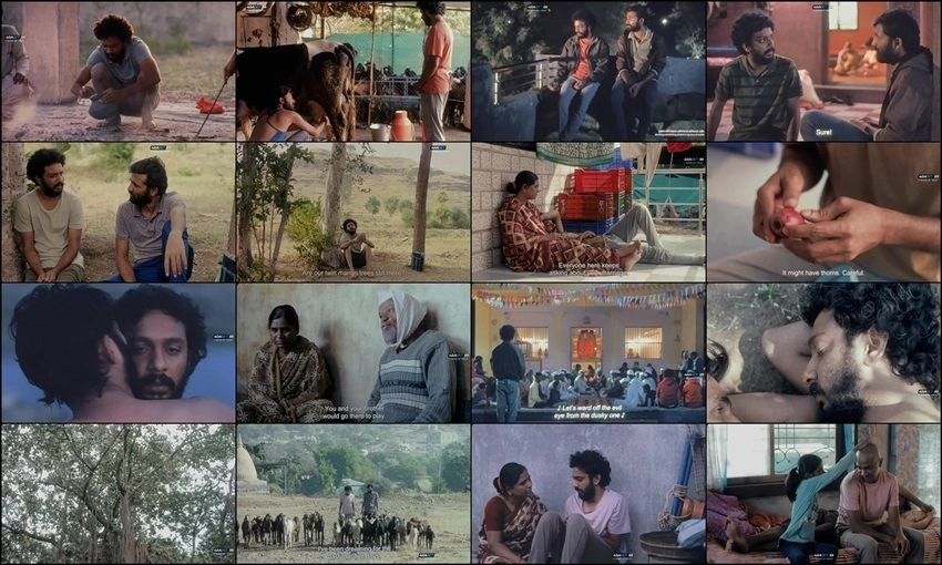 Download Rabbit Trap | 2025 | Hindi Dubbed | WEBRip | Full Movie 480p 720p 1080p