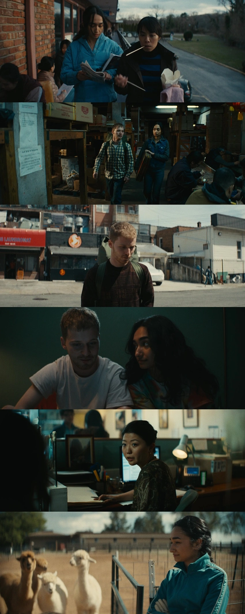 Download Preparation For The Next Life | 2025 | Hindi-English | Dual Audio | WEB-DL | Full Movie 480p 720p