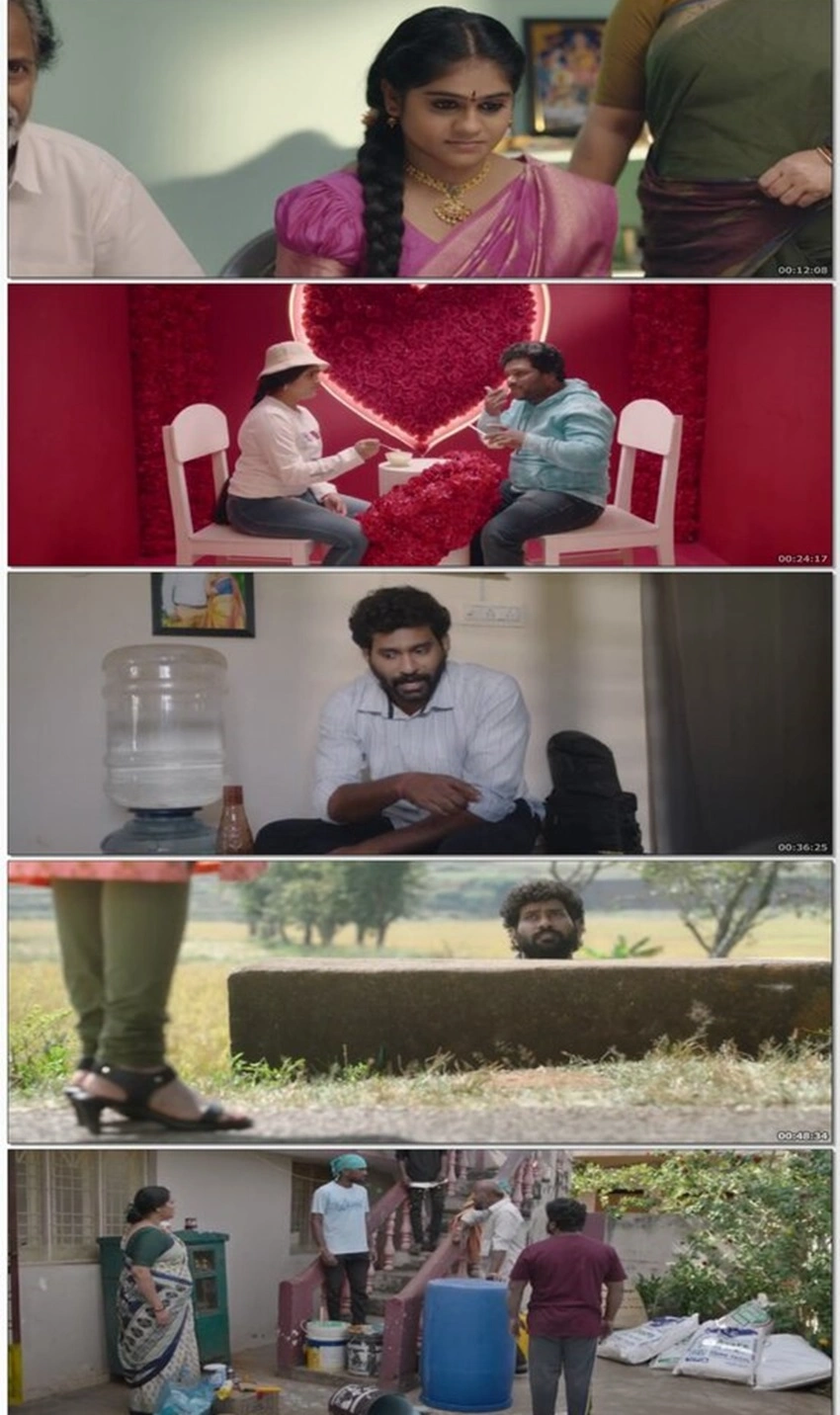 Download The Great Pre-Wedding Show | 2025 | Hindi Dubbed | WEBRip | Full Movie 480p 720p 1080p