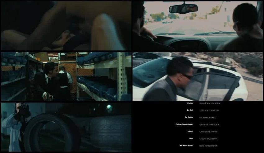 Download Genesis: Fall Of The Crime Empire | 2017 | WEB-DL Dual Audio | Hindi-English | Full Movie 480p 720p 1080p