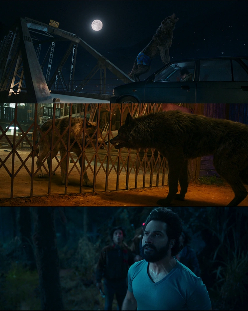 Download Bhediya | 2022 | Hindi DD5.1 | WEB-DL | Full Movie 480p 720p 1080p